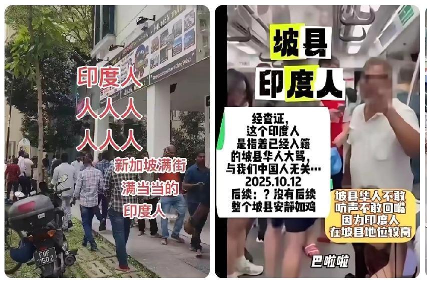 你说这事儿琢磨起来挺有意思。新加坡有些华人精英吧，为了显得自己特别“国际范儿”，