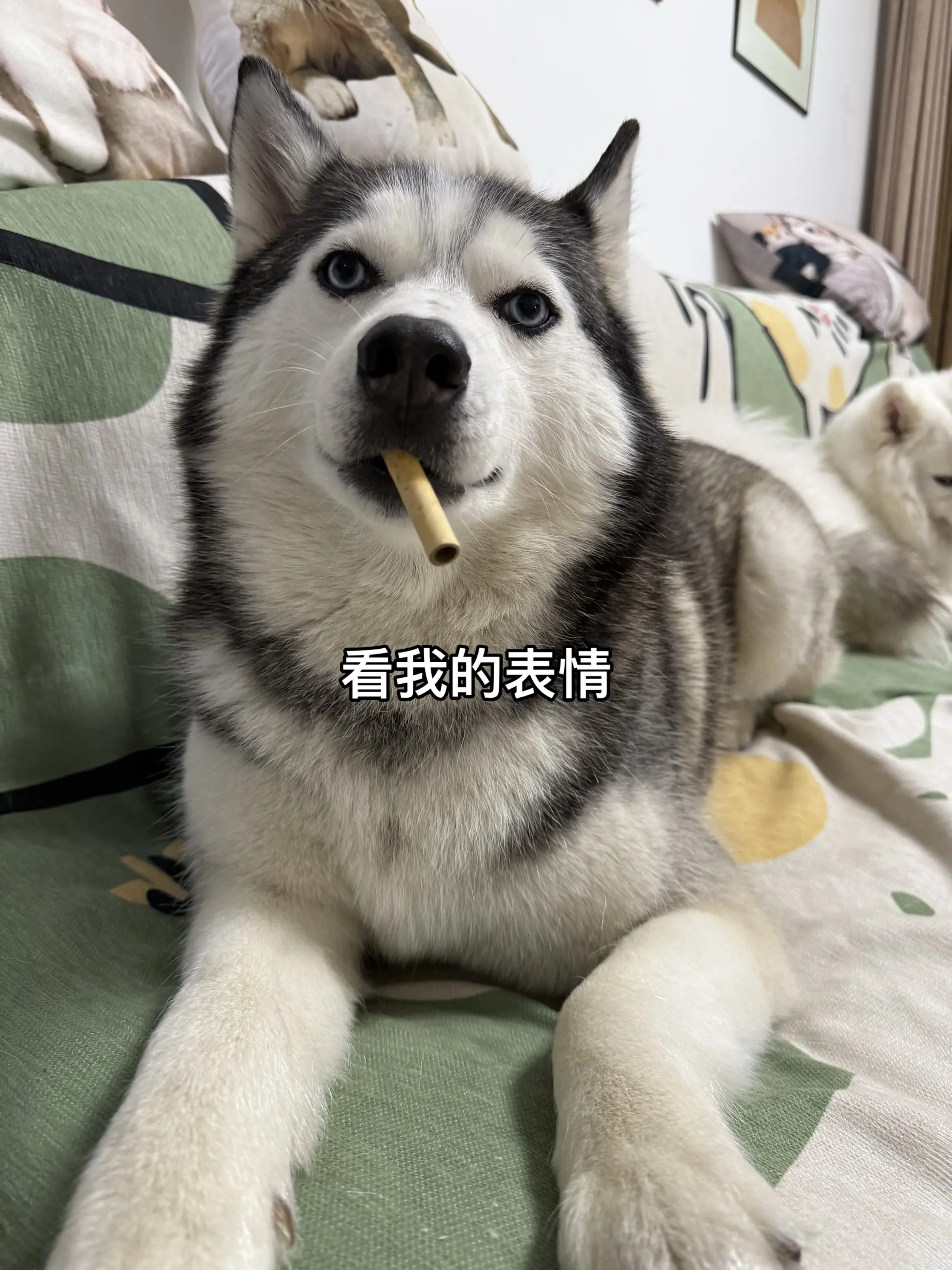 嘴脸