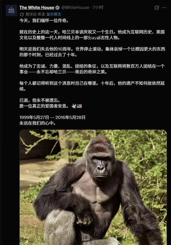 白宫这也是没事干了，发帖纪念一只10年前死掉的大猩猩哈兰贝。
无数美国人对美国的