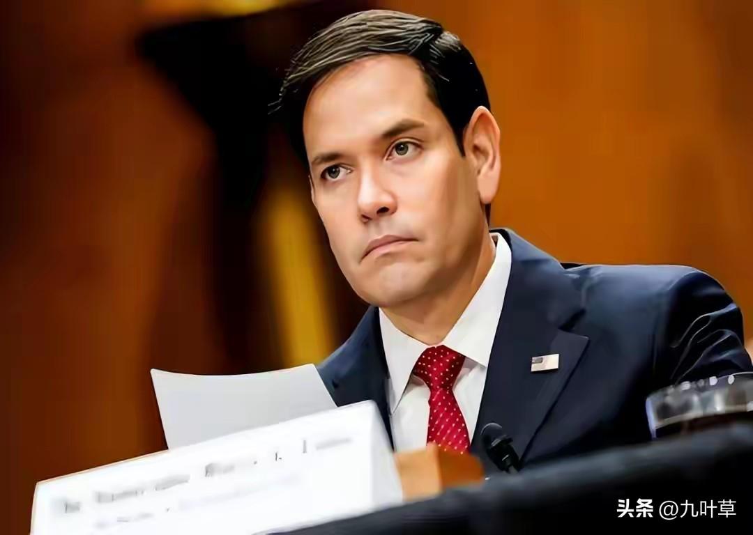 听到这个“犬”在吠吗？
真是大言不惭，不知自己几斤几两了！
居然于日前直接要求熊