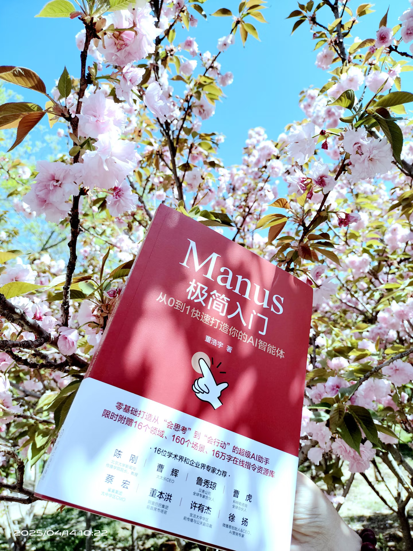 🎉想秒会Manus，看这本书就够了