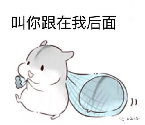 爸妈来之后冰箱都老了 冰箱门一打开差点溢出来！青菜带着泥土香，腌肉裹着油纸，连冷
