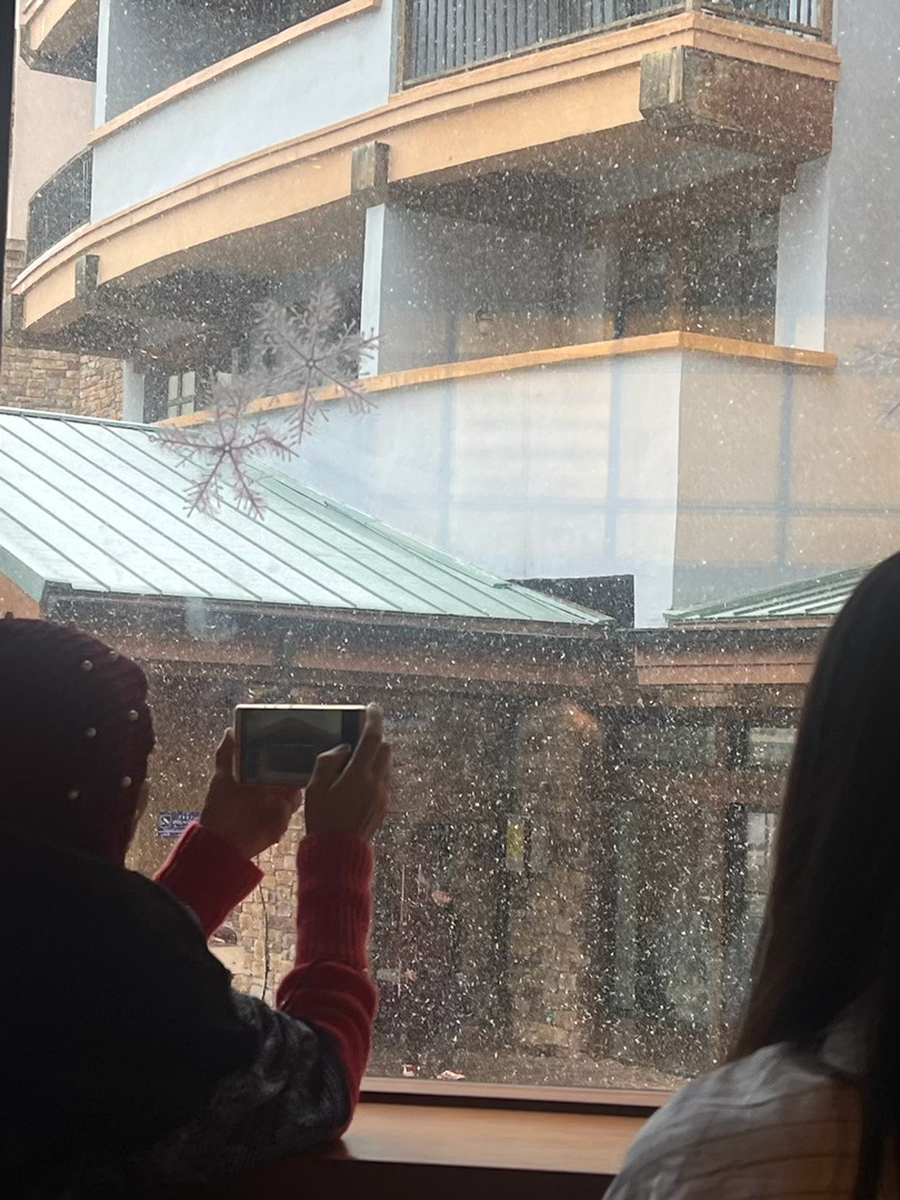 五月飞雪 