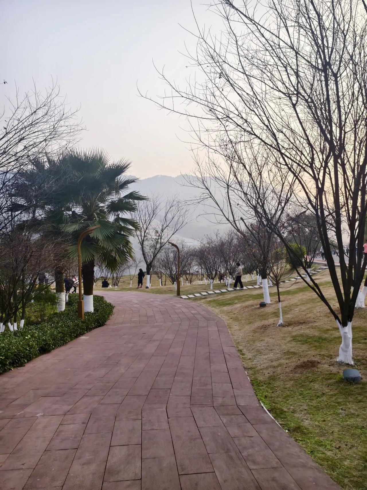 游玄天湖
        ——南木子
最美风景玄天湖，
周末恰逢阳光足。
陪妻一