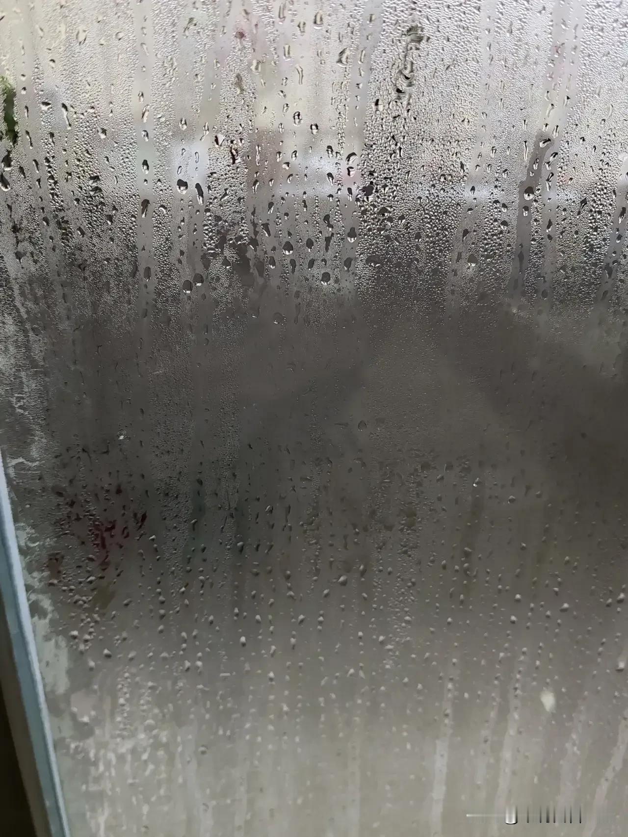 千万别开窗！回南天来了，一开窗家里就要变成水帘洞啦！

又到了南方的回南天，冷不