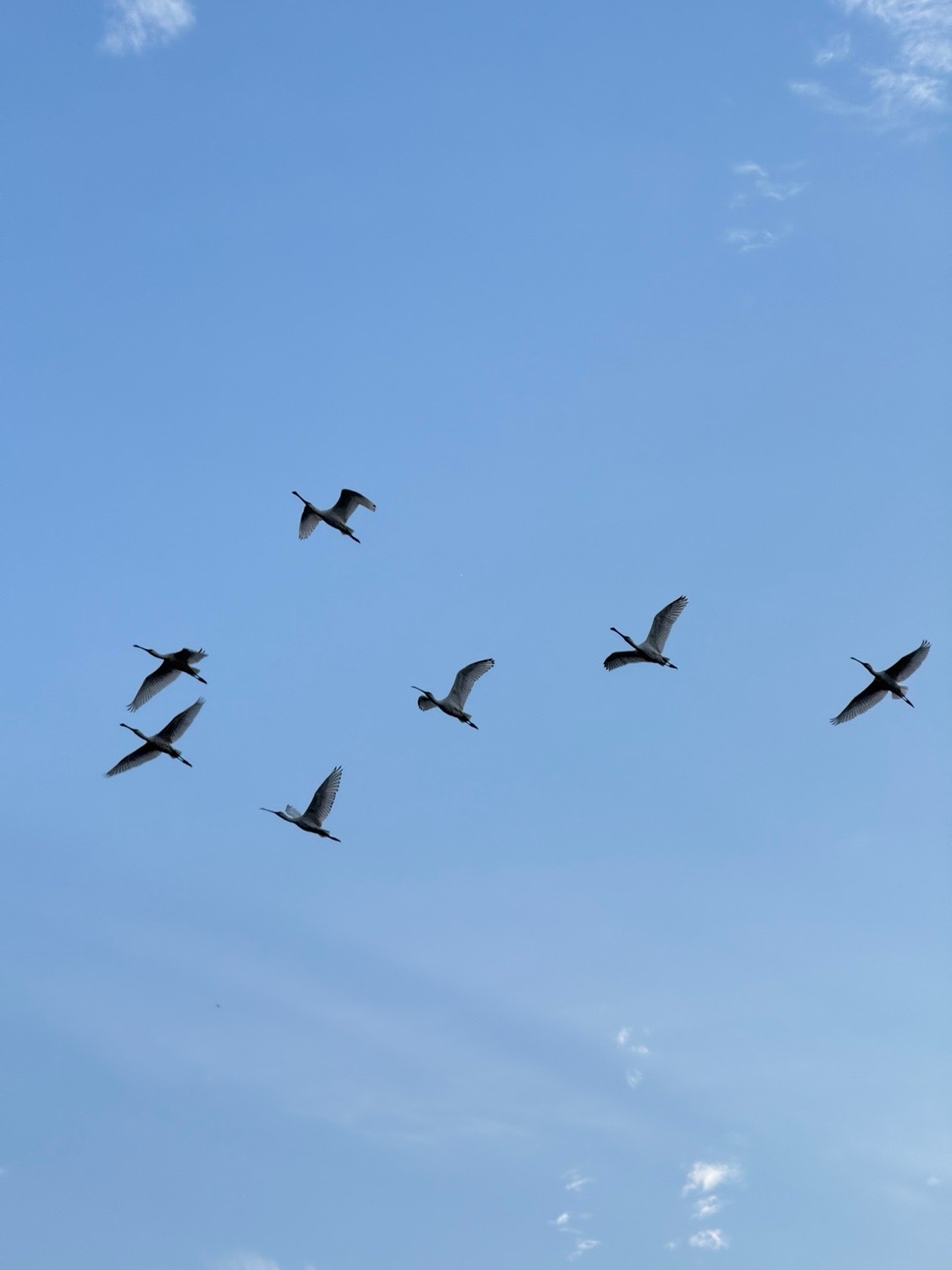 一切发生皆有利于我，苦痛也是成长的财富 