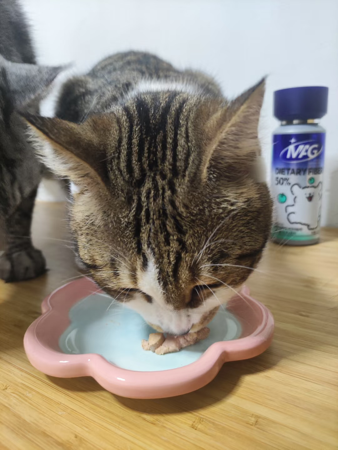 猫咪化毛别再踩雷了……