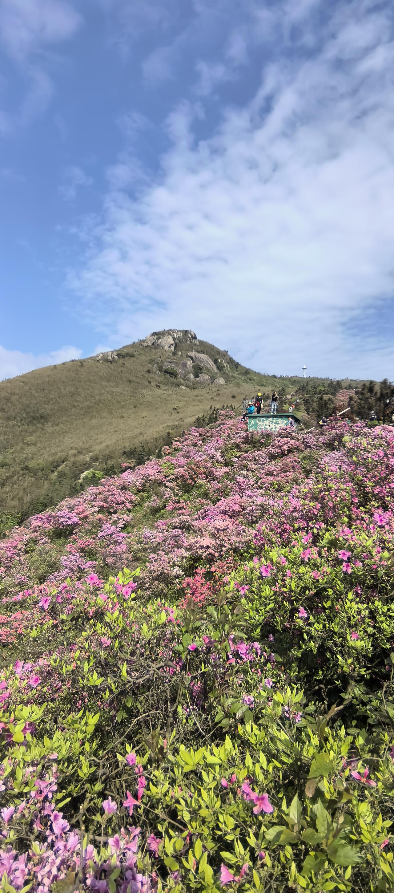 离出发环中国大环线还有10天。心里多少有些激动。所以把我的头条昵称也改了。
这样
