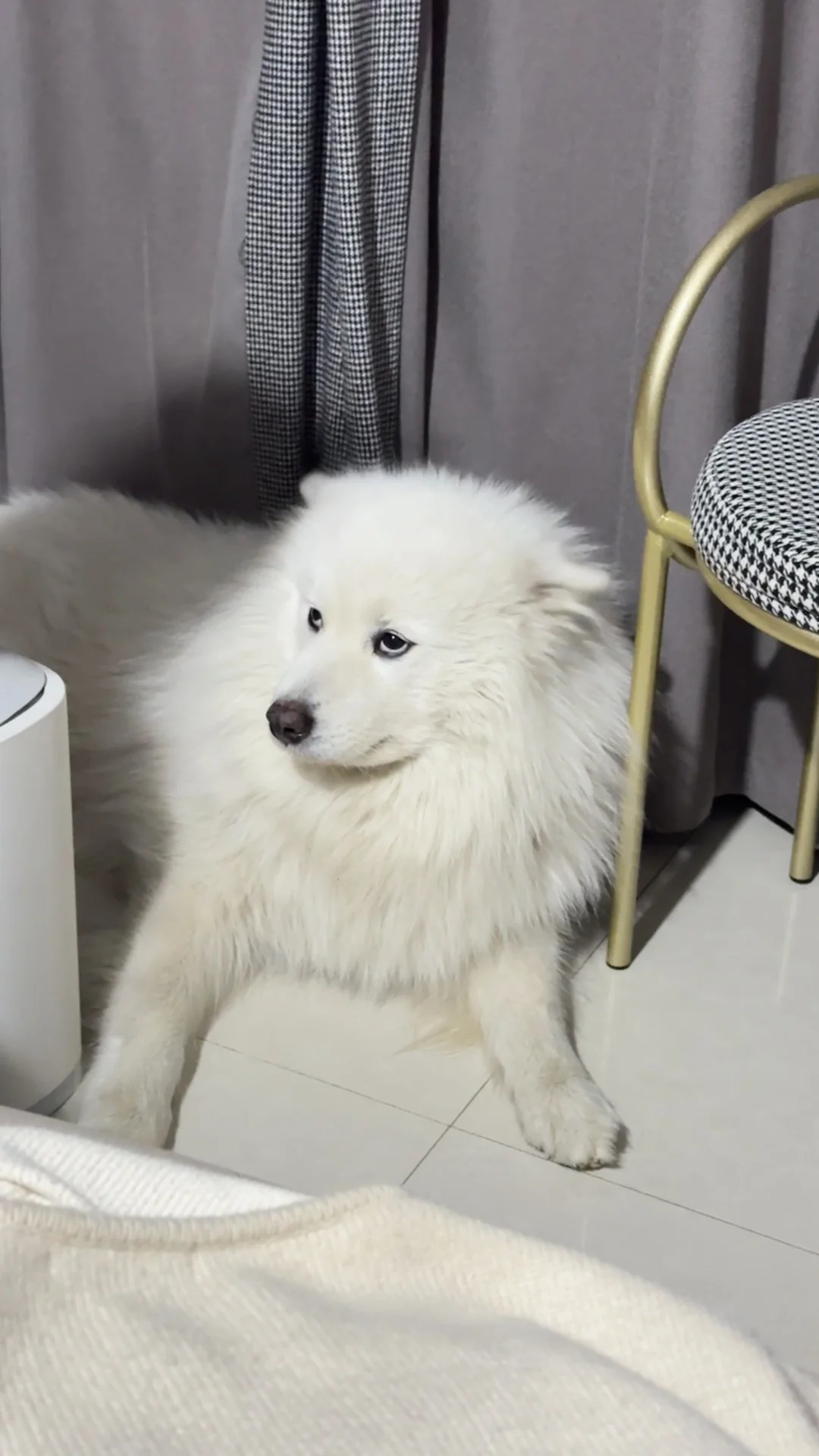 白眼要翻到天上去了