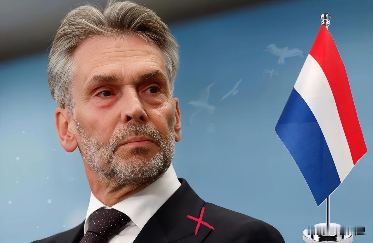 就在刚刚
荷兰正式宣布

2025年10月31日，荷兰实施光刻机新规：美施压下，