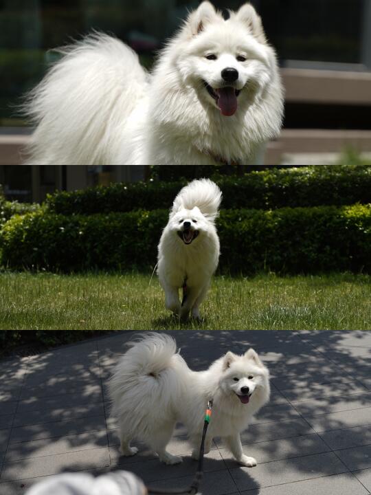 和你在一起 生活是个动词