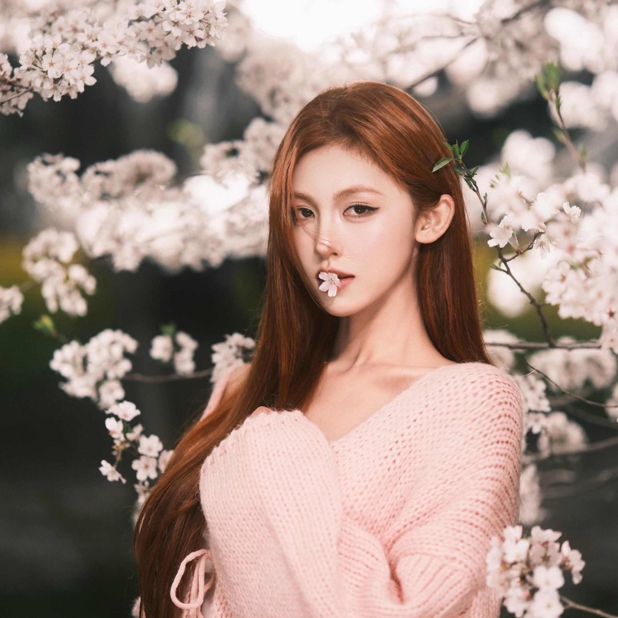 富士直出｜春天的浪漫樱花