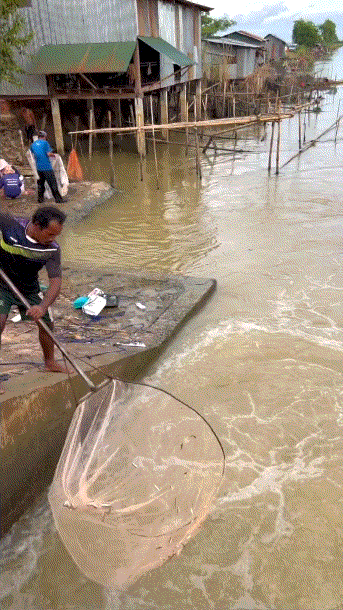 这一网下去,鱼获不少啊,就是有点废酒#路亚匠# #今天拿鱼#
