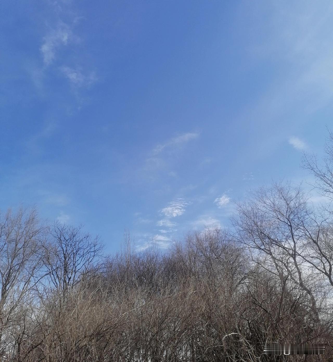 说到底是贪心不足蛇吞象。偷盗是背因果的，吃点瓜子是小，罪过是大，菩萨畏因，众生畏