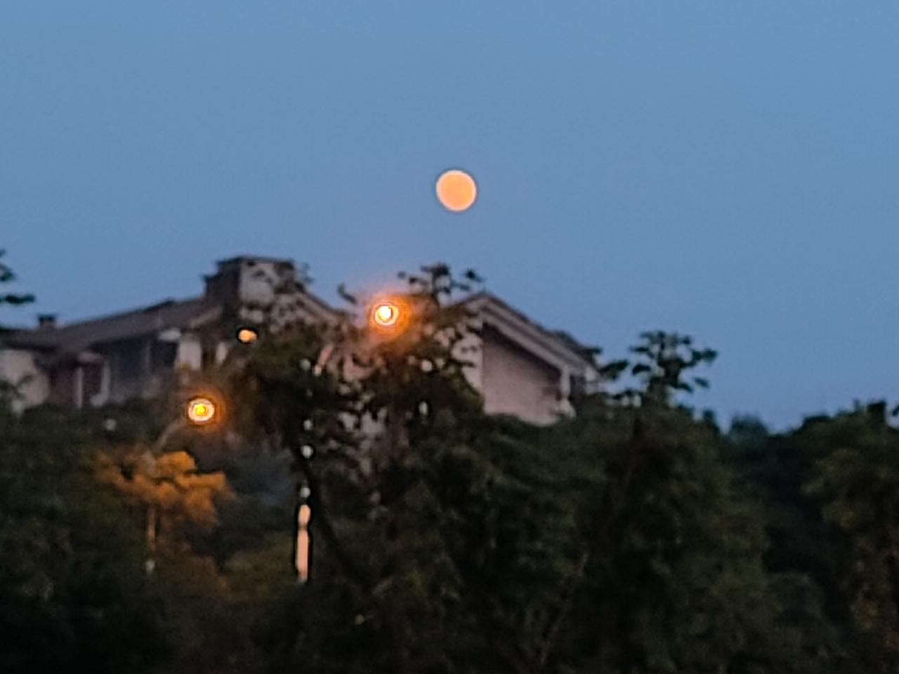 城市上空的月亮
2026年5月30日拍摄于武汉光谷保利广场