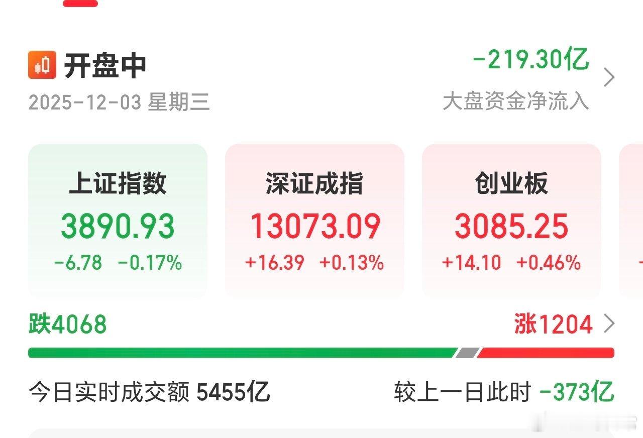 红盘的越来越少，市场等待靴子落地，美国降息，以及村里大会指明2026方向。 