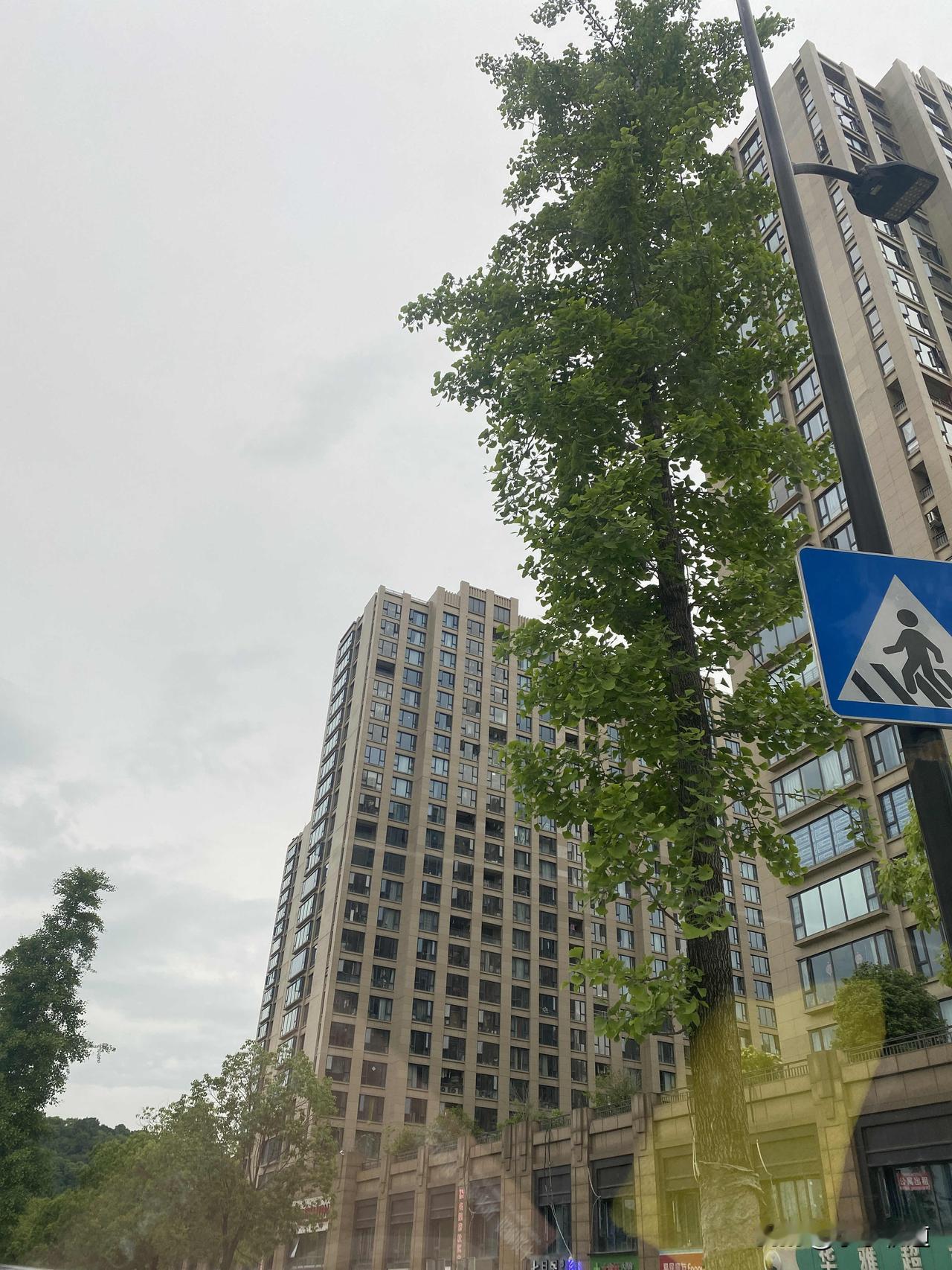 分享城市新鲜事打卡，现在堵车没