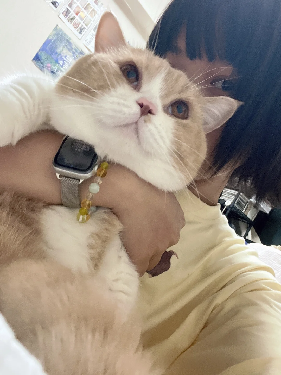 大面包和小面包🍞