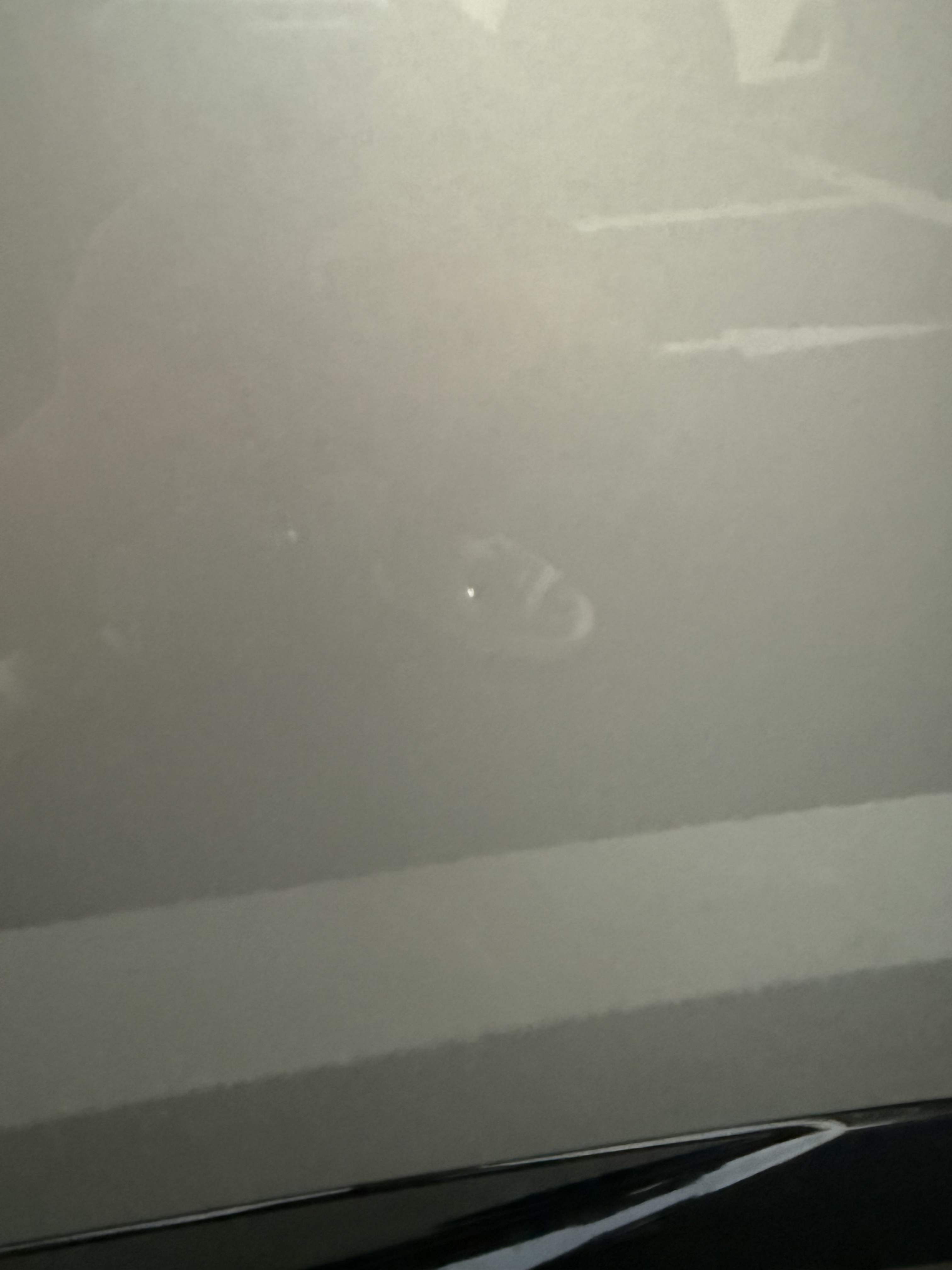 真是太糟糕了一个半小时前开车门磕到了隔壁小鹏，我自认为力度很轻，所以当时没有立马