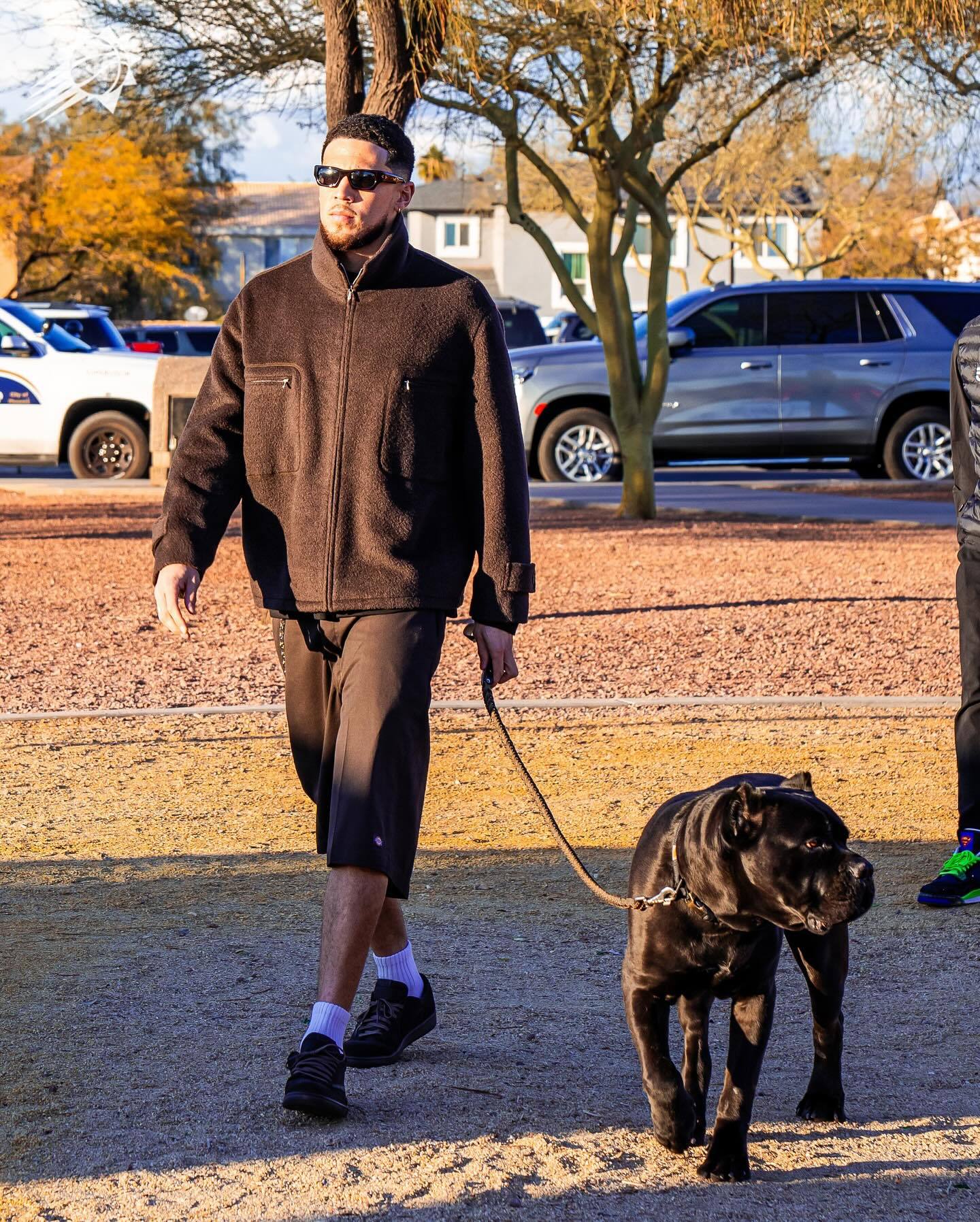 这里还有一些 🐶菲尼克斯太阳[超话] ｜旭日东升 ｜NBA新赛季赛程 ​​​