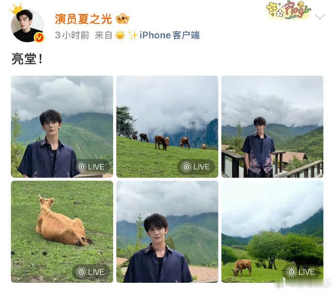 粉丝想要夏之光必须做到夏之光粉丝在线P图陪伴他走过漫长时光，见证了数不清的暖心瞬