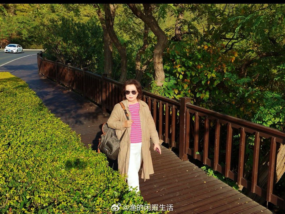 七天小长假这条网红路啊人挤车塞昨天宅家休整今日散步看🦌手机摄影  ​​​