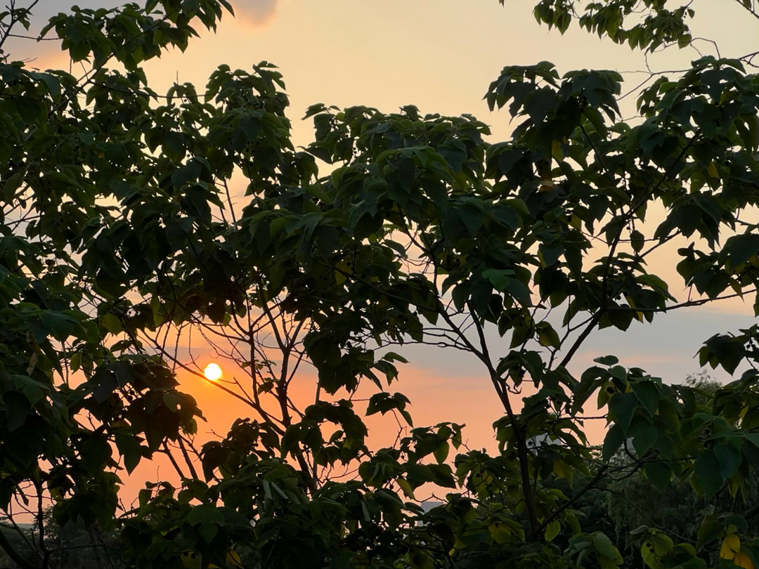 坐在大溪河畔的花丛中，吹吹风，看看夕阳。 宜兴·梅林大桥