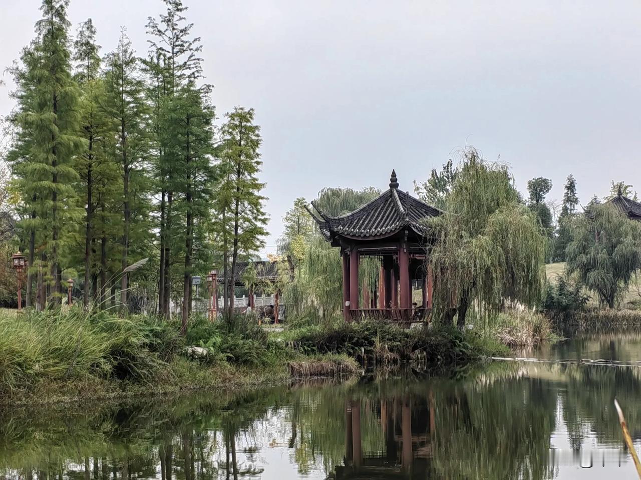 #秋日生活打卡季#
   好奇怪哟，上传的小作文要嘛小伙伴看不见，要嘛就一直审核
