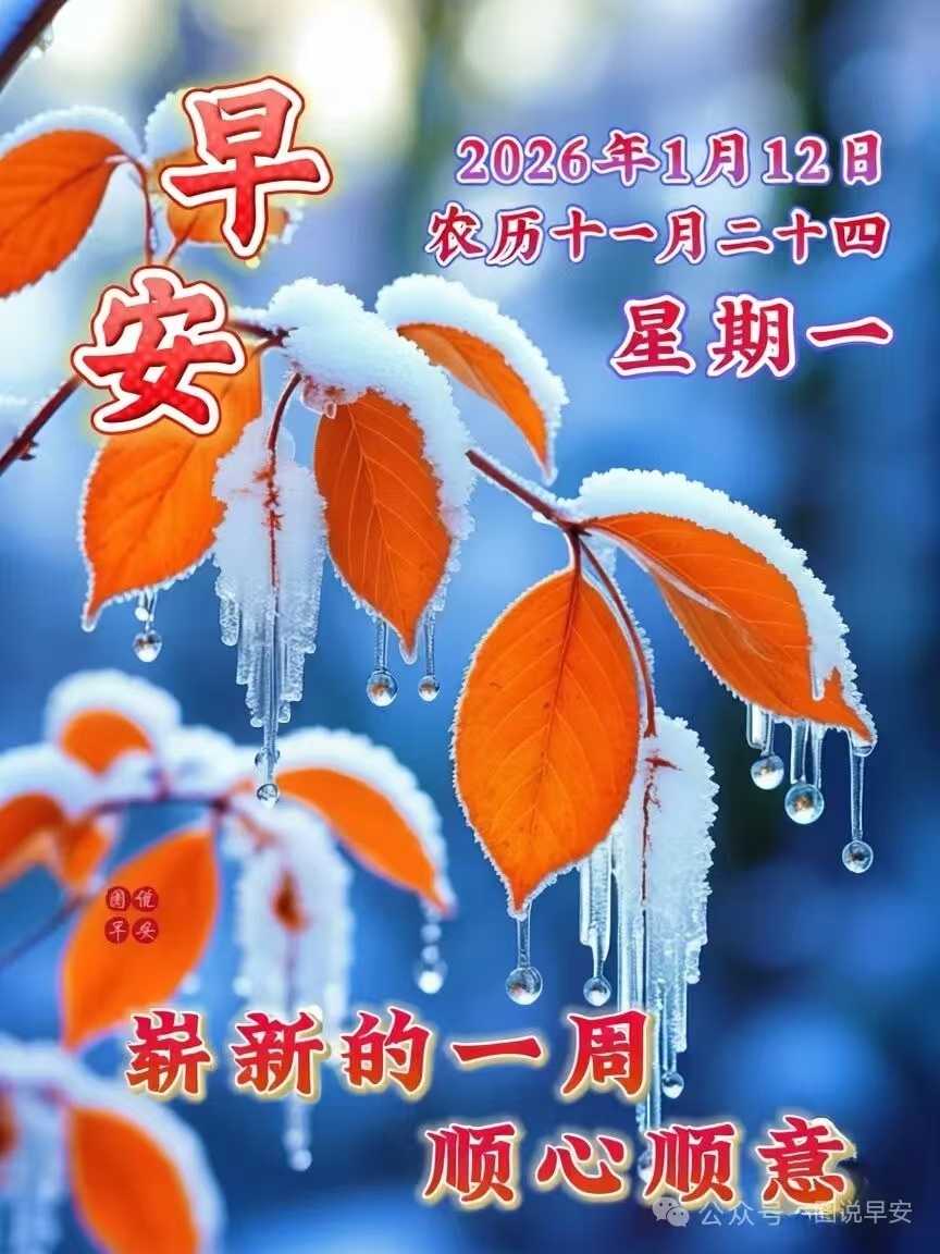 周一的早晨，阳光洒满大地，带来无限希望。新的一周，新的起点，抛开烦恼，迎接美好。