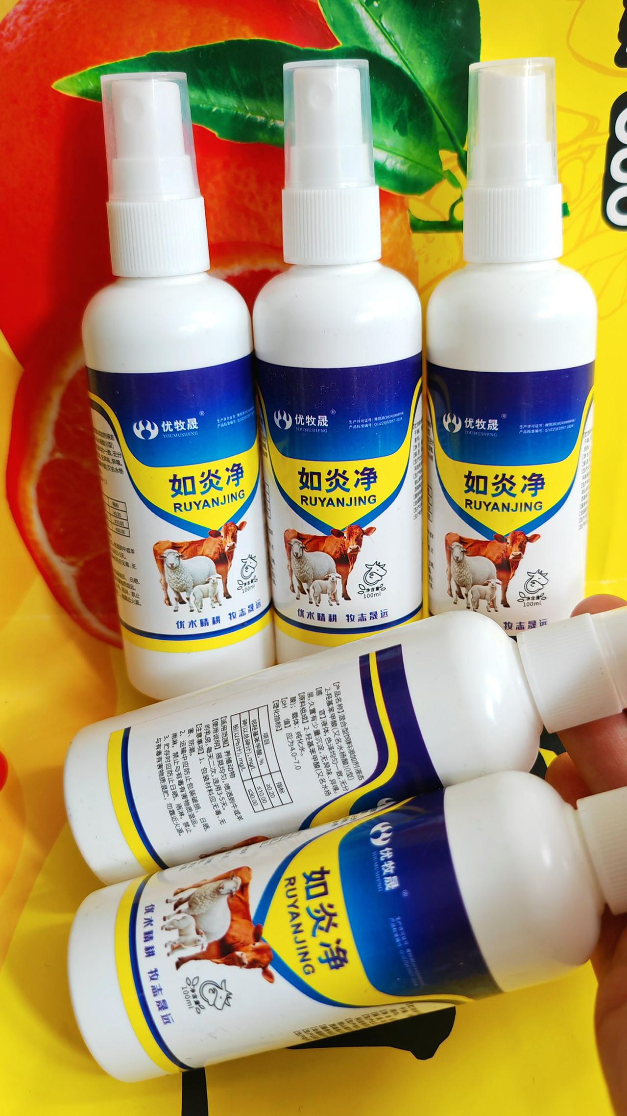 养羊人 农村养羊 牛羊养殖