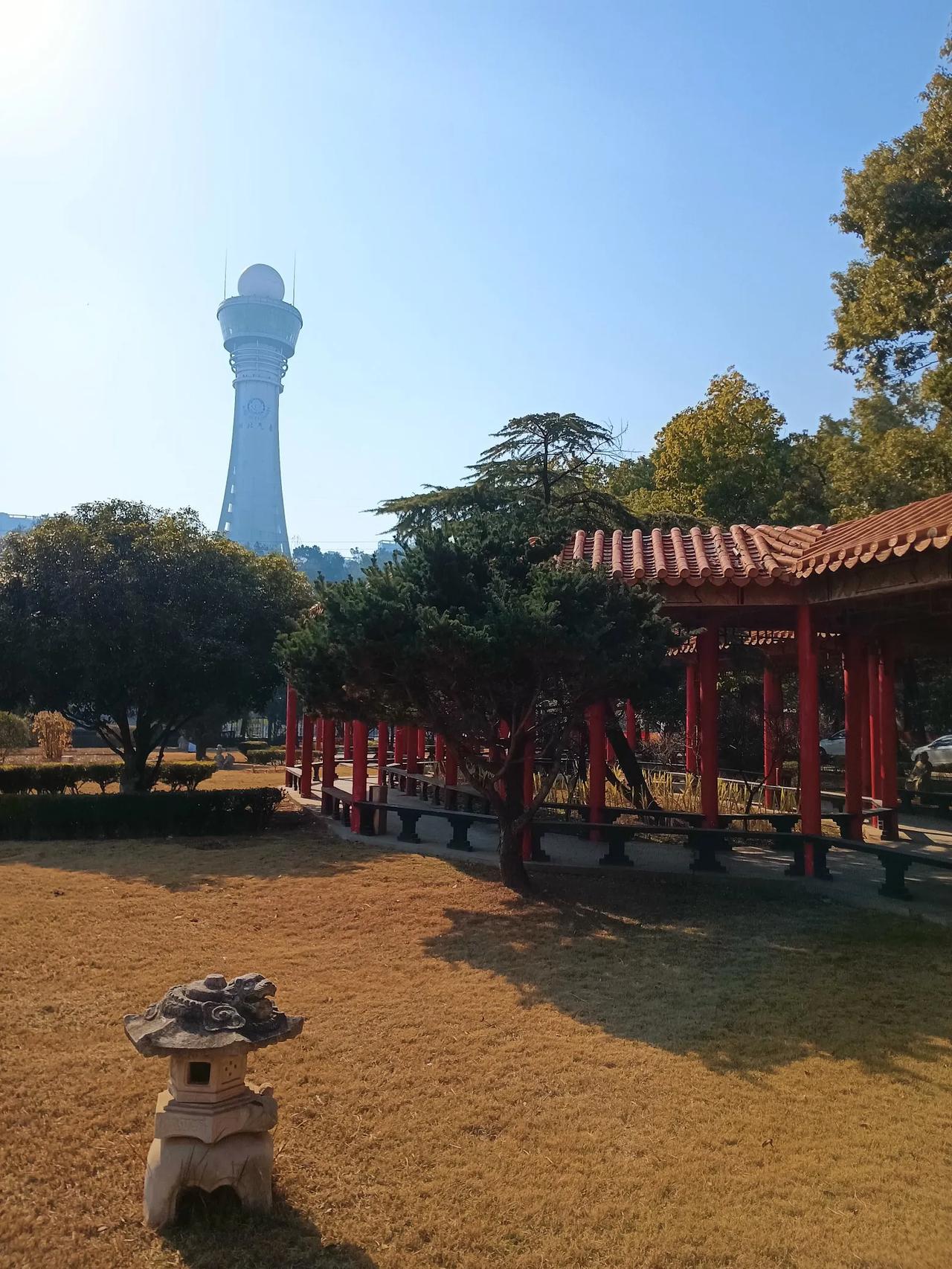 网上对莎莎有个说法，即每次比赛都能力挽狂澜，拯救女乒。不知这个源头来自何人，这个