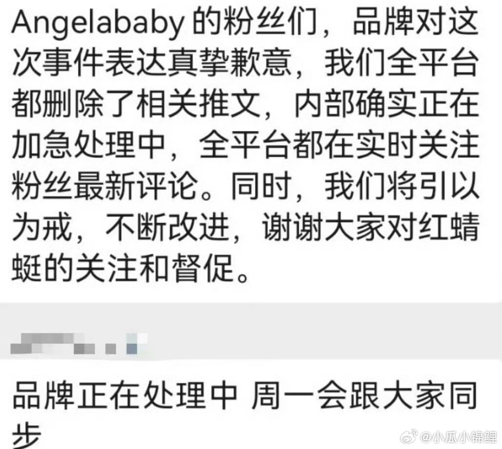 红蜻蜓向Angelababy道歉原来品牌会道歉的啊这个有点过分了 ​​​