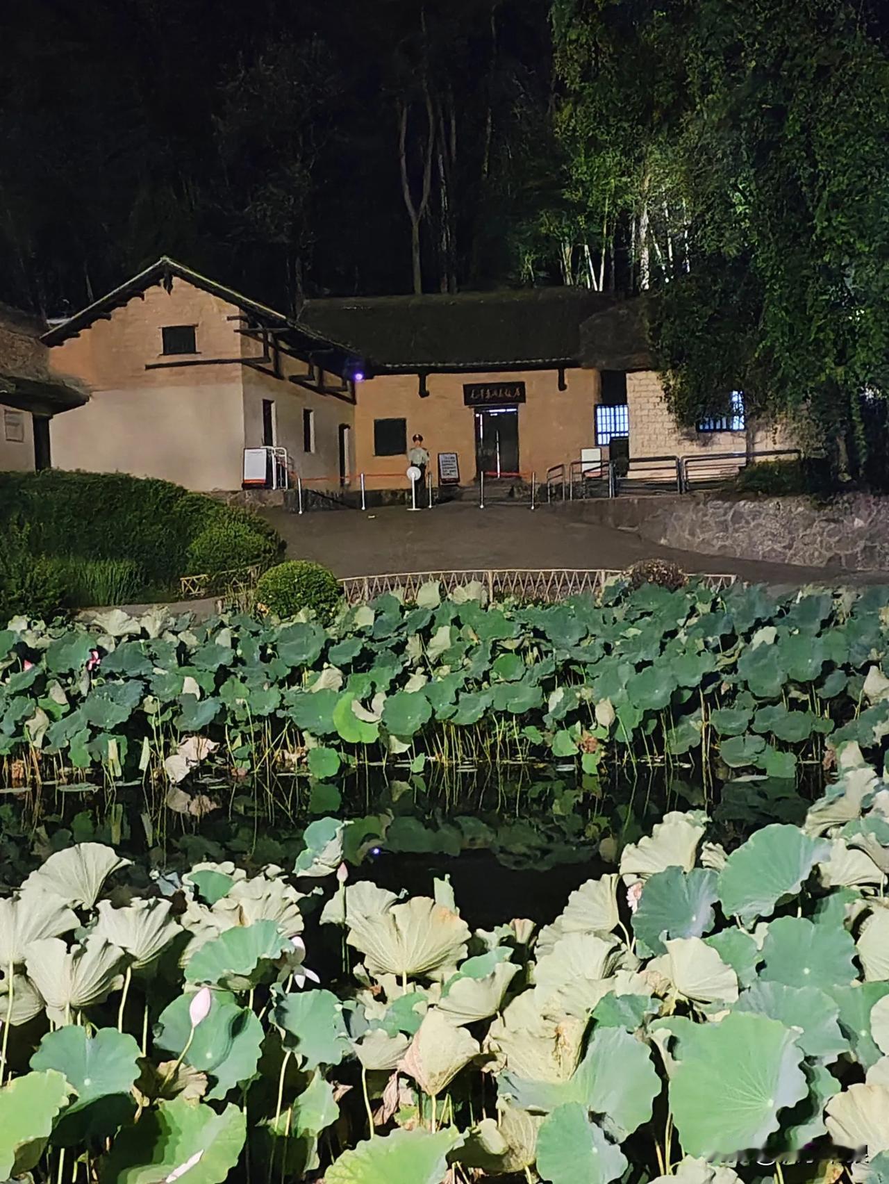 晚上的韶山冲，武警守护。你见过吗？春节假期一定要来一次。韶山旅游建议