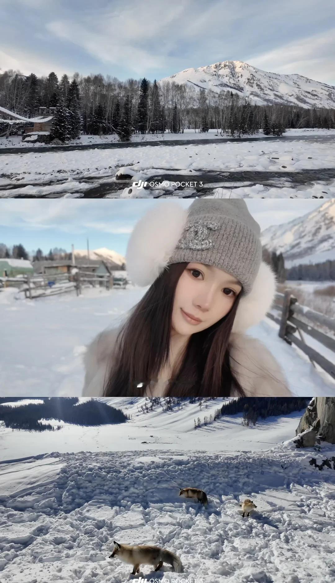 禾木❄️
一路都是惊喜不断
真的好美好美
禾木村