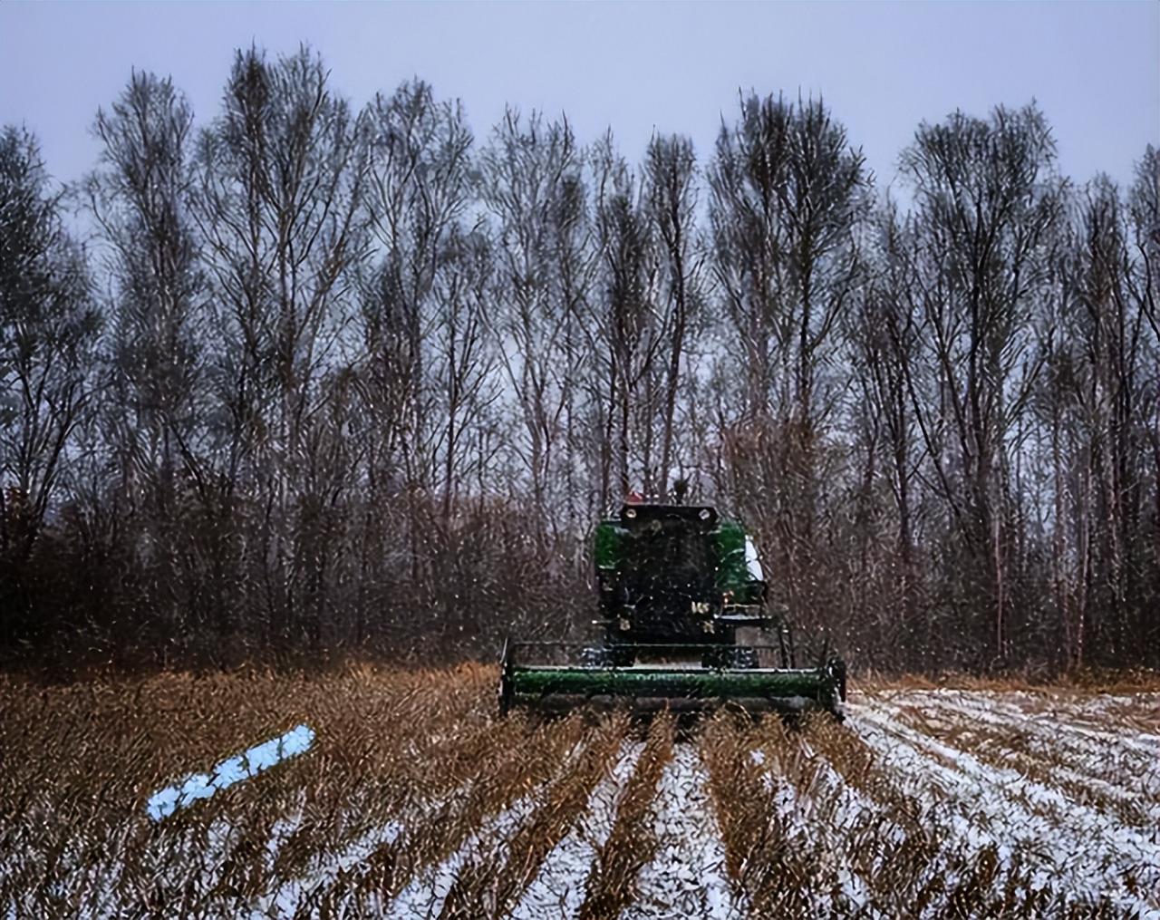 西伯利亚：吃不完的鹿肉，收不完的粮；砍不完的森林，挖不完的矿
   
谁能想到，