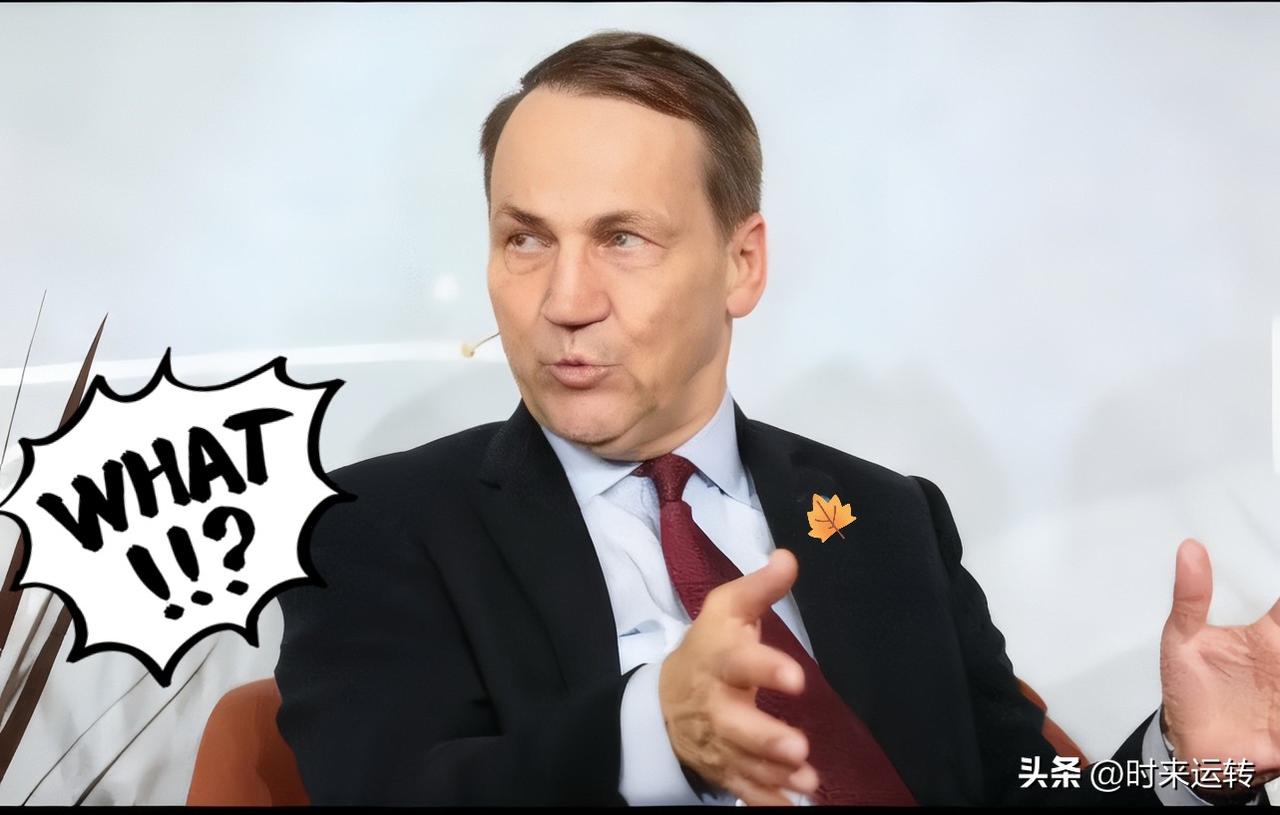 波兰这速度绝对可以！
欧盟官员都惊了！

波兰外长西科尔斯基刚在北京敲定

稀土