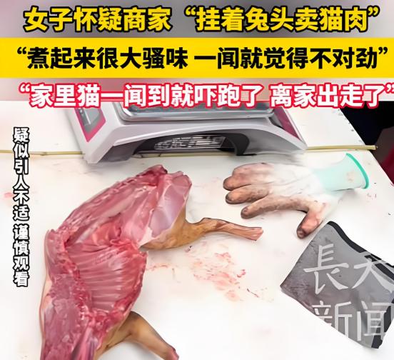 广东，女子买兔肉，做好后吃着味道不对，家里的猫更是吓得四处逃窜、浑身发抖，女子这