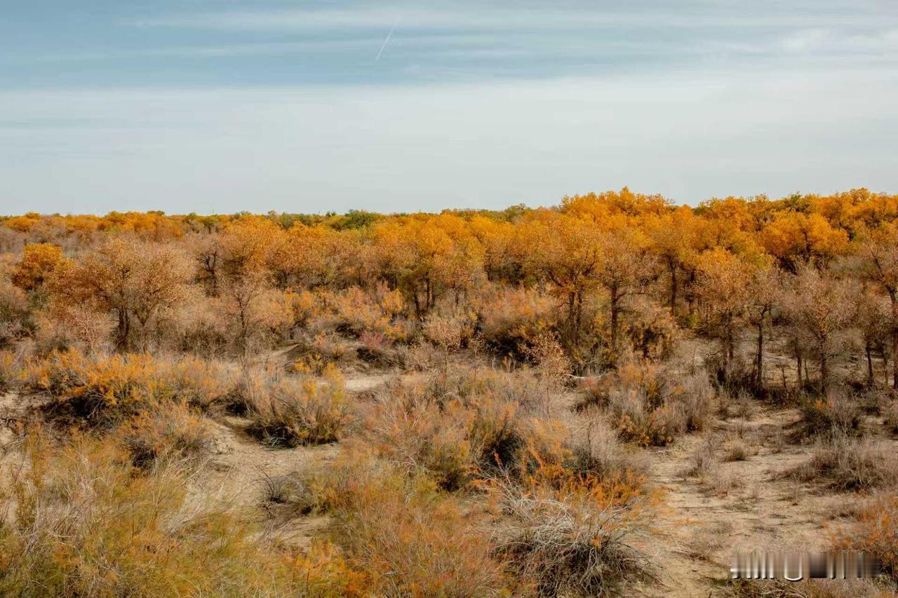 岁岁风调雨顺，请赐下联
时时家和业兴