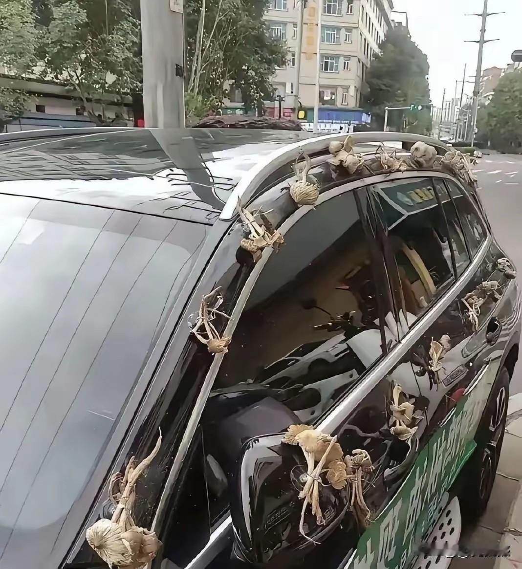 这车上绑的是什么东西？不了解情况的人，都会觉得很纳闷，不知道这是什么，也不知道为