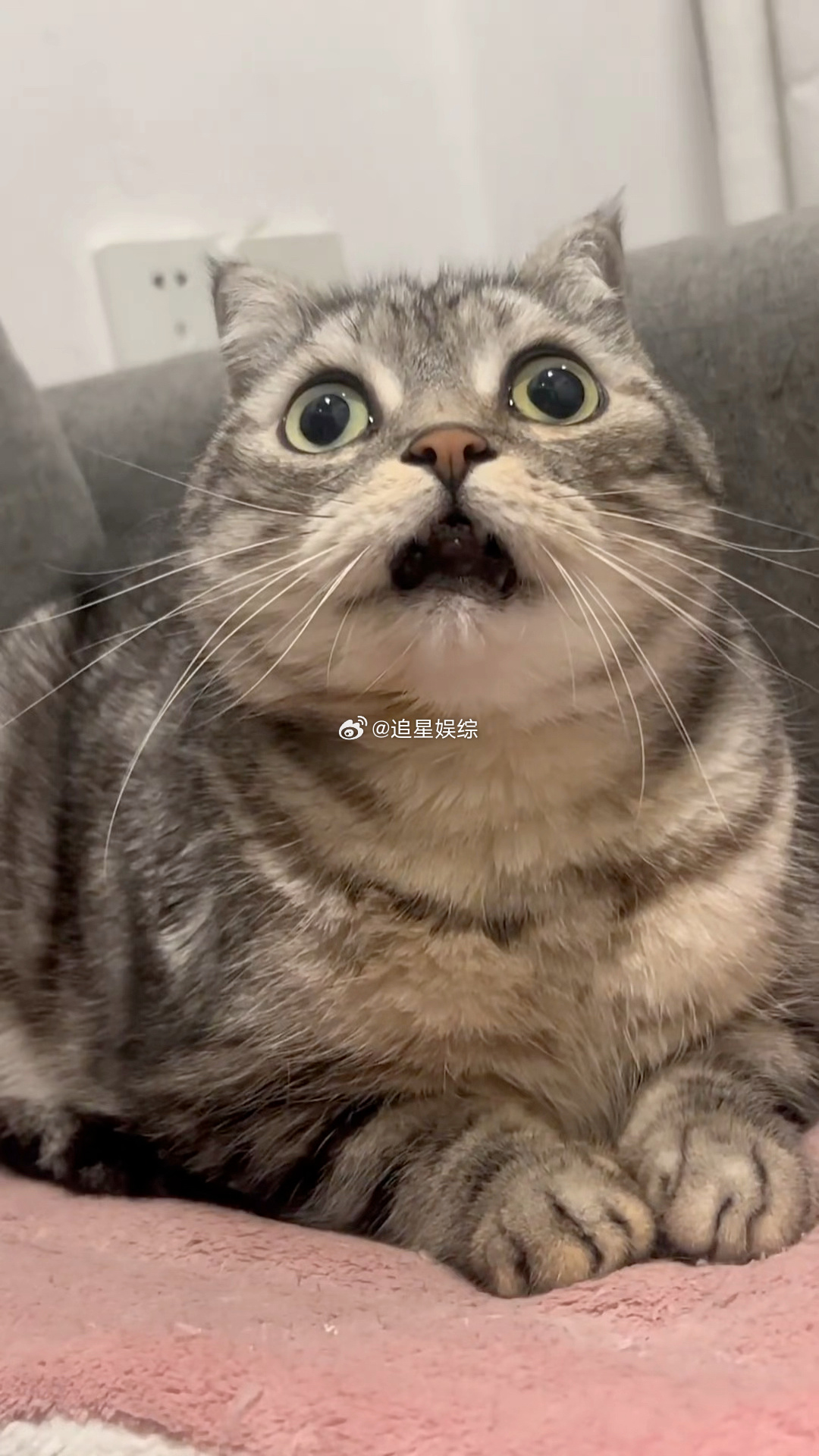 中国造出能灭火的花瓶中国陶瓷已进化成这样了 传统陶瓷+3D打印+AI+灭火功能，