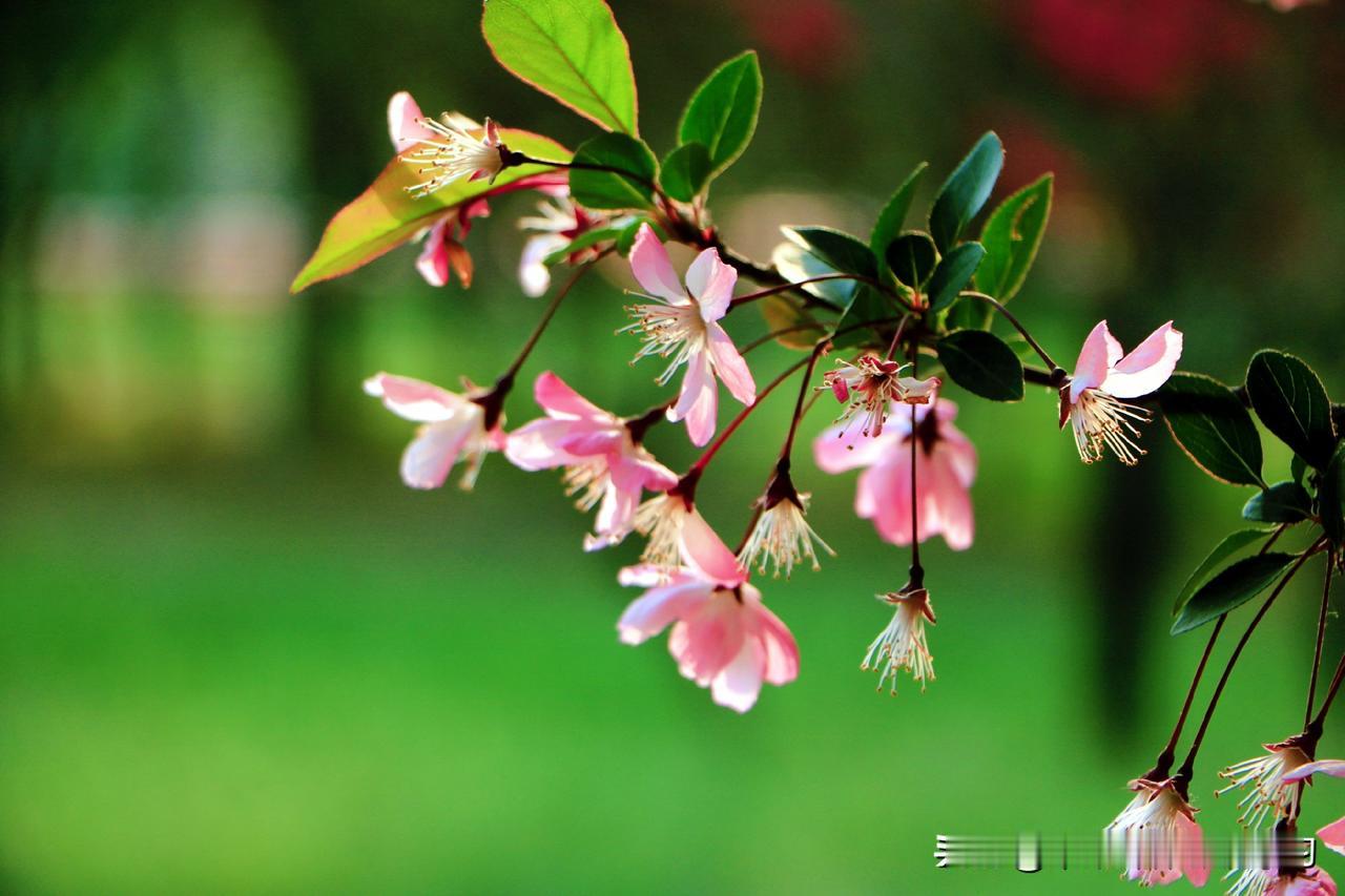 情感专家：
见过最野的相亲局，是朋友组了个户外飞盘局。来的姑娘清一色瑜伽裤配运动