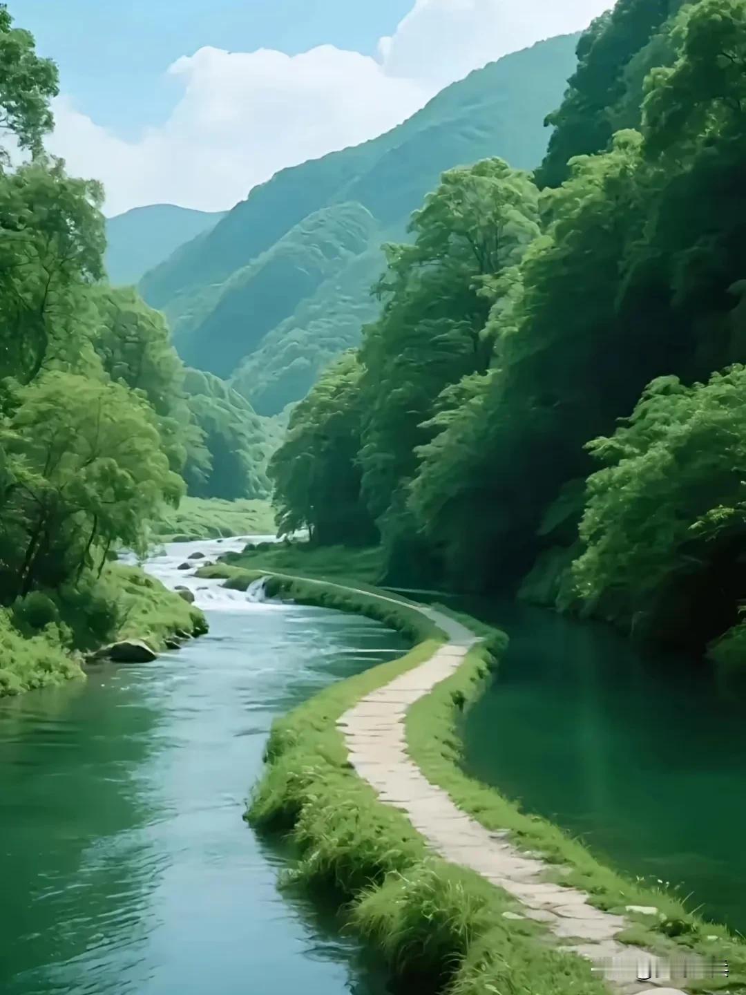 漫步在绿意盎然的溪流旁，感受大自然的宁静与美好，在这里散步，清风拂面，心旷神怡，