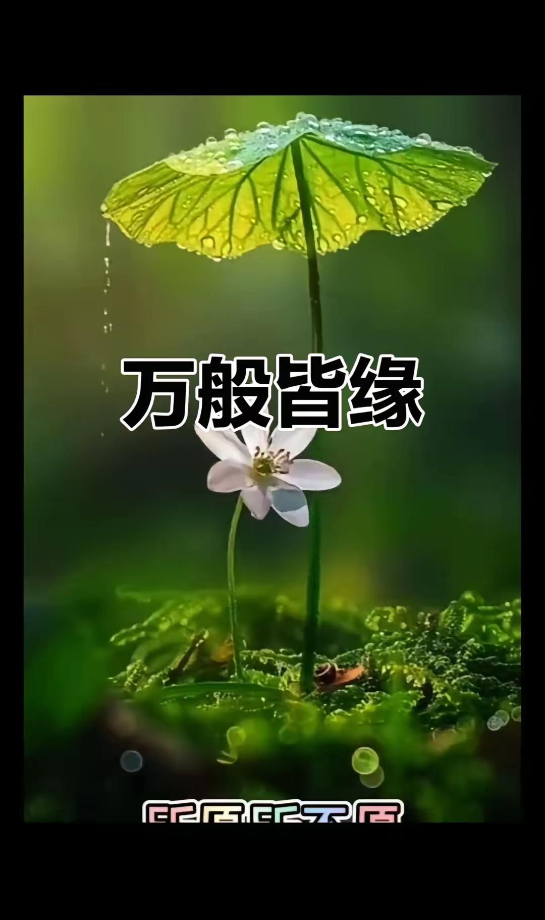 佛说：
什么是孽缘？
如果你跟一个人在一起，你的情绪暴躁，心情压抑，诸事不顺，说