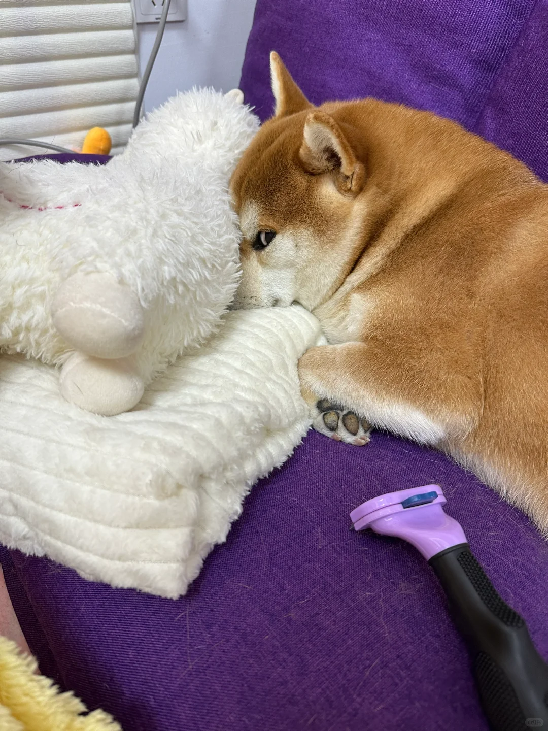 什么眼神