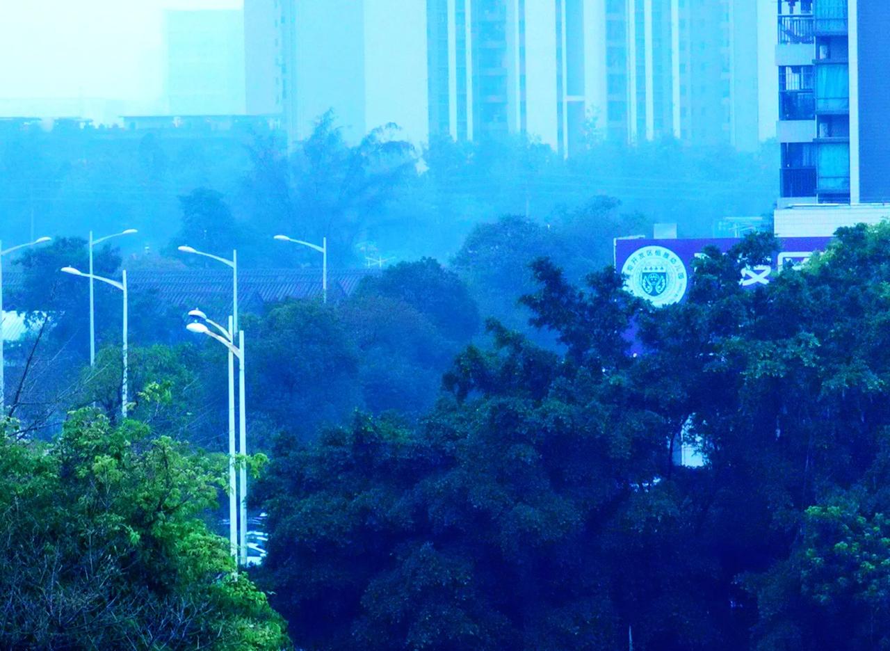 雨雾来了！昨天中山阴沉沉的，下午开始飘起了毛毛细雨，晚上下了雨，今早起来地上湿了