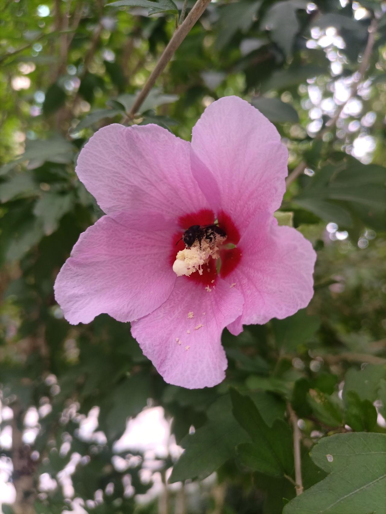 【人世间·一切都是命运的安排】夏日生活打卡季
人这一生，
不管遇到什么事情，
我