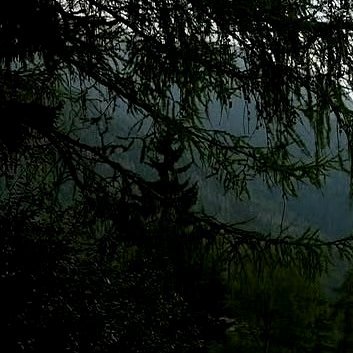 阳光信用‎阳光‎信用‎每日一善 忙时尽兴，闲时有趣，愿你做一个满载能量的人，在每