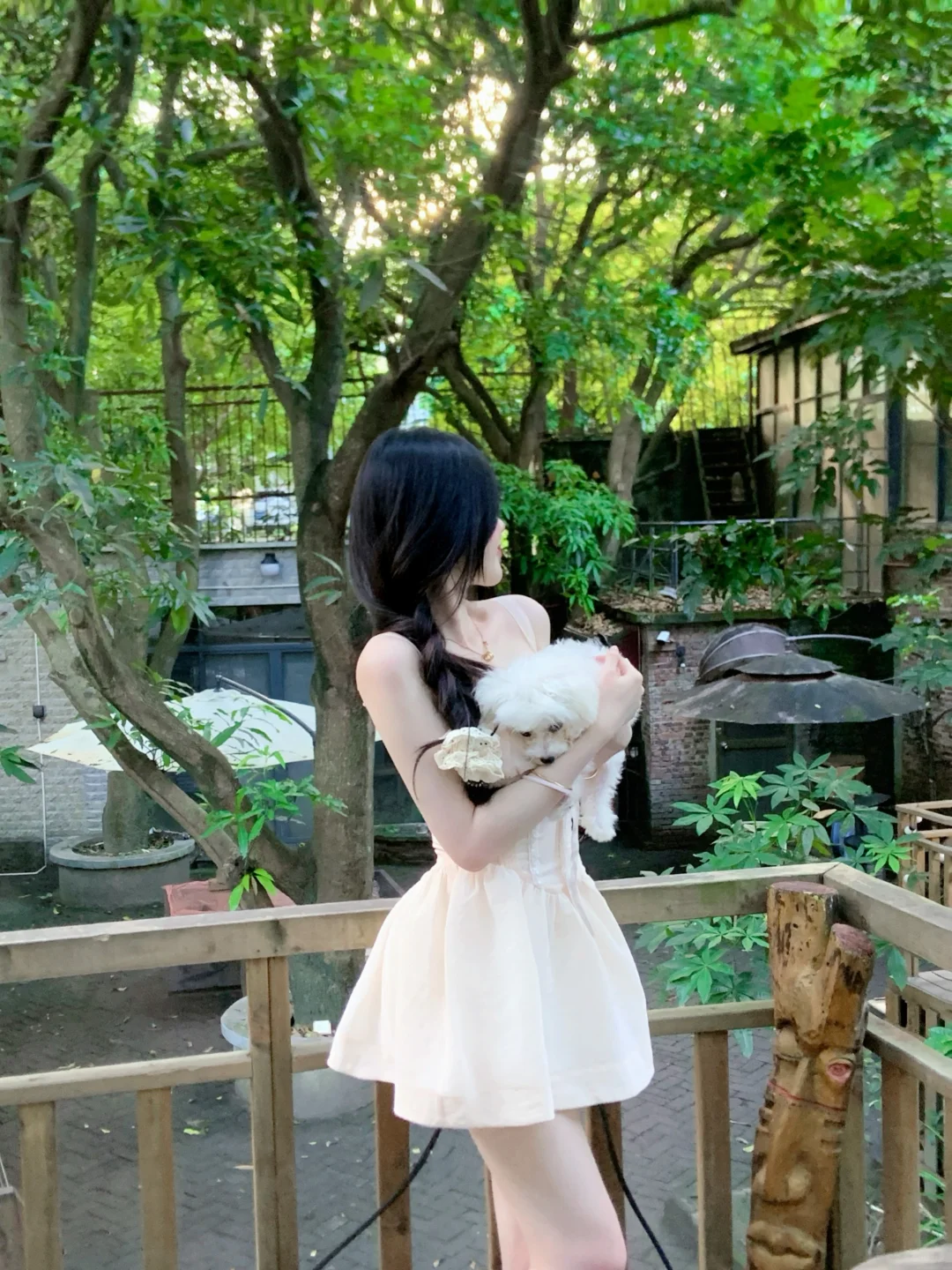 小狗狗碎觉觉•᷄ࡇ•᷅
