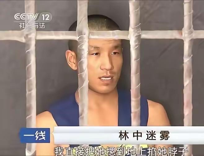 北京丰台男子沉迷黄色小视频，光看不过瘾，偷还要学，8000块钱招聘保姆，等人来面