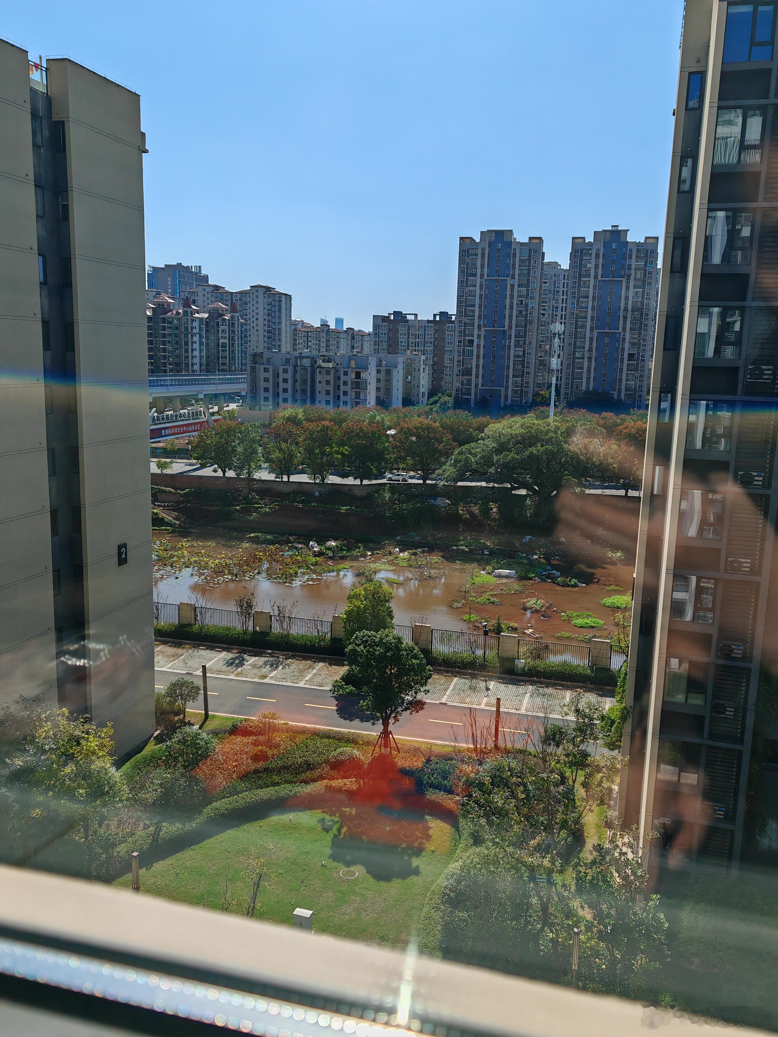 阳台上晒太阳，看看野鸭子戏水[微笑]无良开发商说建综合体的地方，现在是个蓄水的大
